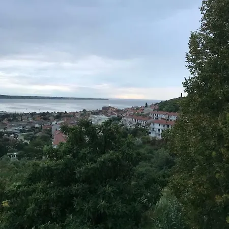 Milena Portoroz